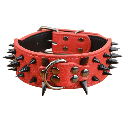 Sharp Spiked Dog Collar - All Pet Things - S / Red with Black Spikes