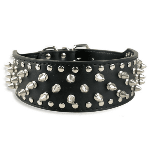 Silver Studded Dog Collar - All Pet Things - Black / XS