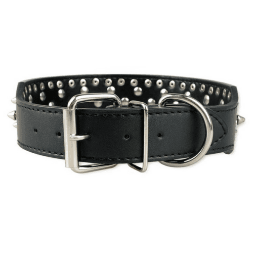 Silver Studded Dog Collar - All Pet Things - Black / S