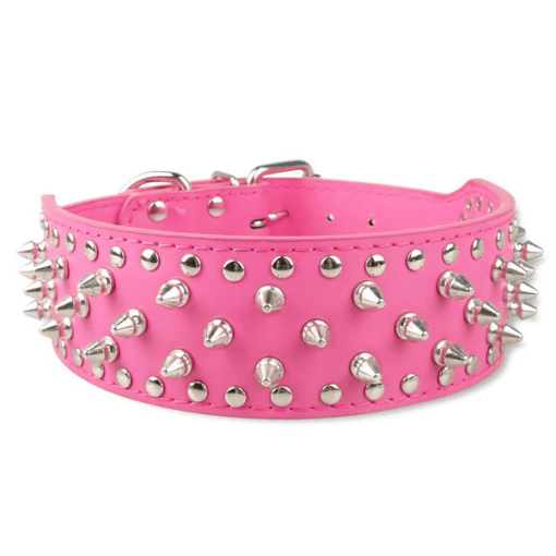 Silver Studded Dog Collar - All Pet Things - Pink / XS
