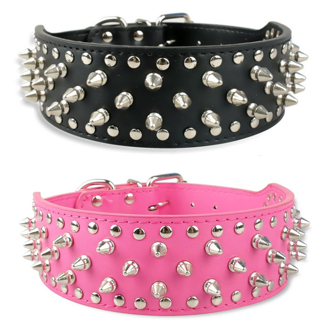 Silver Studded Dog Collar - All Pet Things - Black / M
