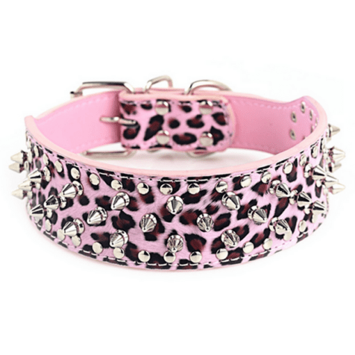 Silver Studded Dog Collar - All Pet Things -