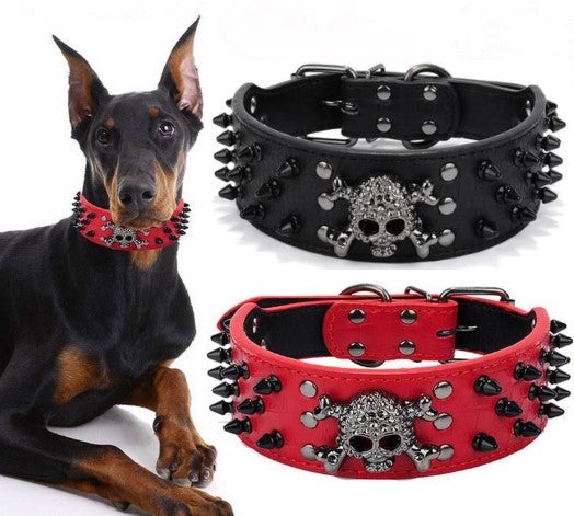 Spiked Skull Dog Collar - All Pet Things - S / Black