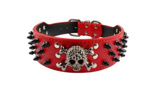 Spiked Skull Dog Collar - All Pet Things - S / Red
