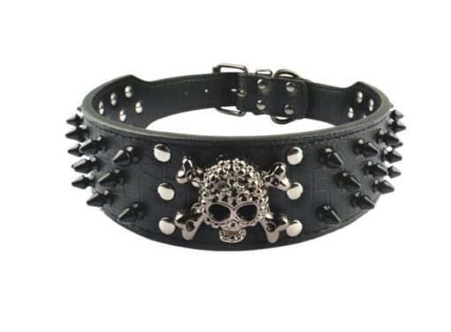 Spiked Skull Dog Collar - All Pet Things - M / Black