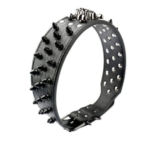 Spiked Skull Dog Collar - All Pet Things - XL / Black
