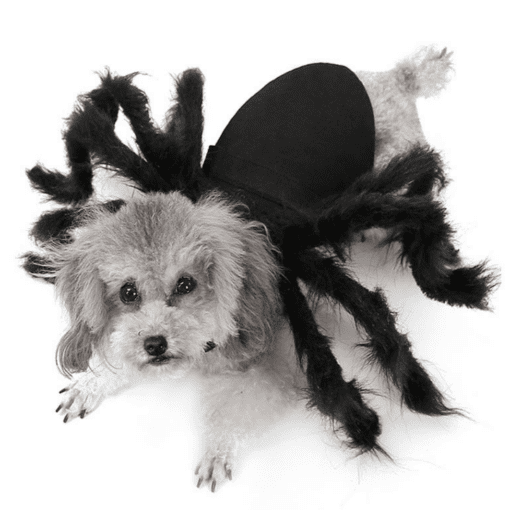 Spider Legs Pet Halloween Costume - Great for Smaller Dogs and Cats! - All Pet Things - S