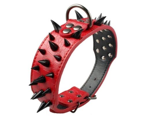 Sharp Spiked Dog Collar - All Pet Things - M / Red with Black Spikes