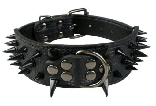 Sharp Spiked Dog Collar - All Pet Things - S / Black with Black Spikes