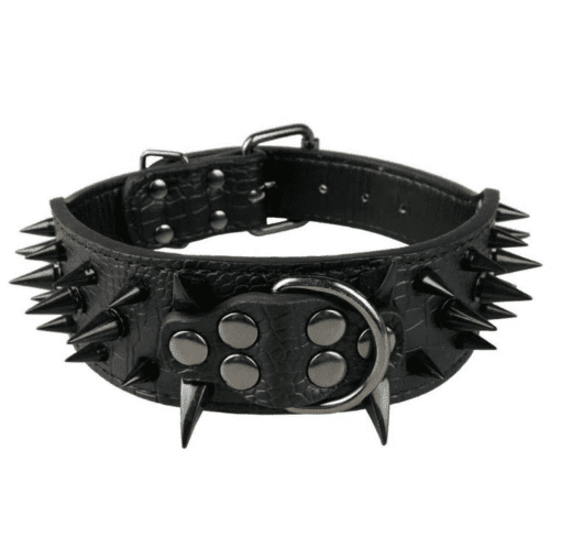 Sharp Spiked Dog Collar - All Pet Things -