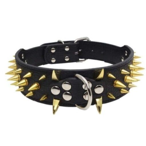Sharp Spiked Dog Collar - All Pet Things - S / Black with Gold Spikes