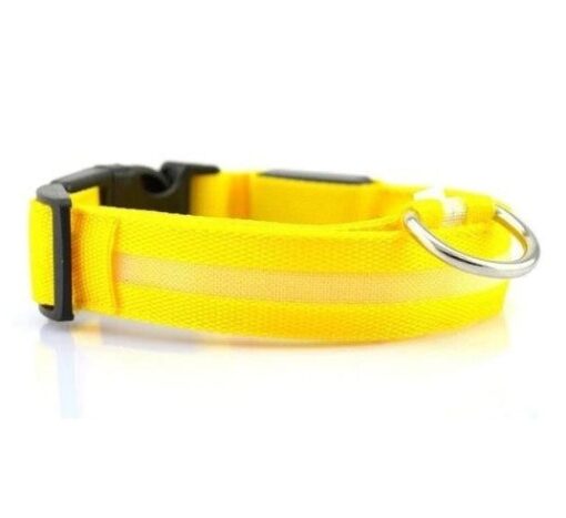 LED Light Up Cat Collar - All Pet Things - S / Yellow