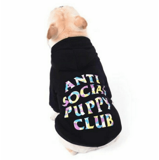 Anti Social Puppy Club Dog Hoodie - All Pet Things - S