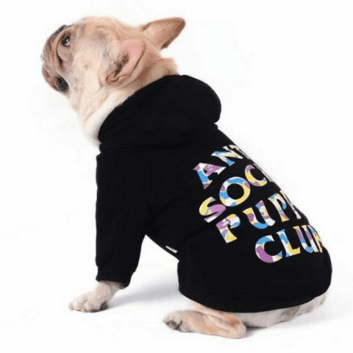 Anti Social Puppy Club Dog Hoodie - All Pet Things - M