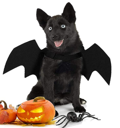 Bat Wings Pet Dog and Cat Halloween Costume - All Pet Things - S