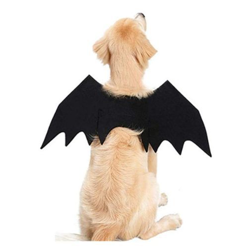 Bat Wings Pet Dog and Cat Halloween Costume - All Pet Things - L