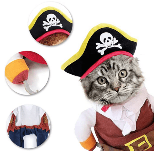 Caribbean Cat Pirate Funny Pet Halloween Costume - All Pet Things - M