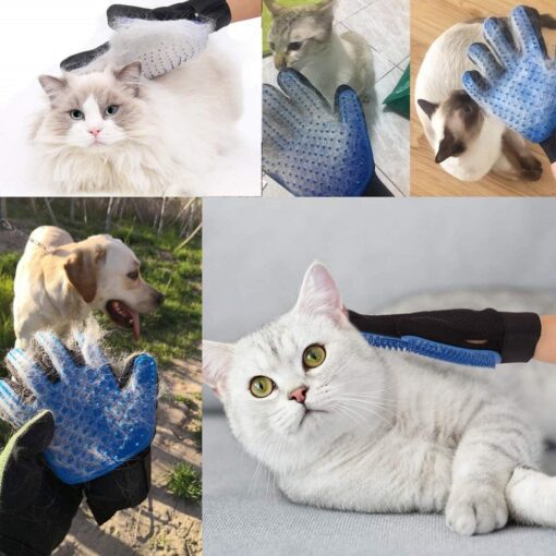Cat Grooming Gloves - All Pet Things -