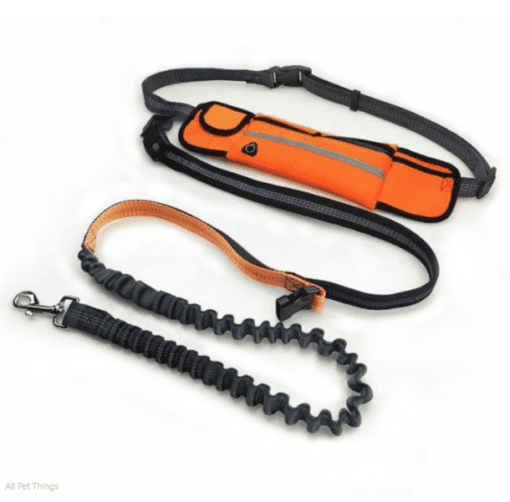 Hands-Free Bungee Running Leash with Waist Belt Pouch - All Pet Things - Orange