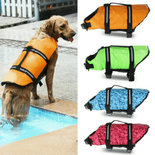 Dog Life Jacket Vest - Have Fun in the Water and Stay Safe! - All Pet Things - Blue Paw Print / L