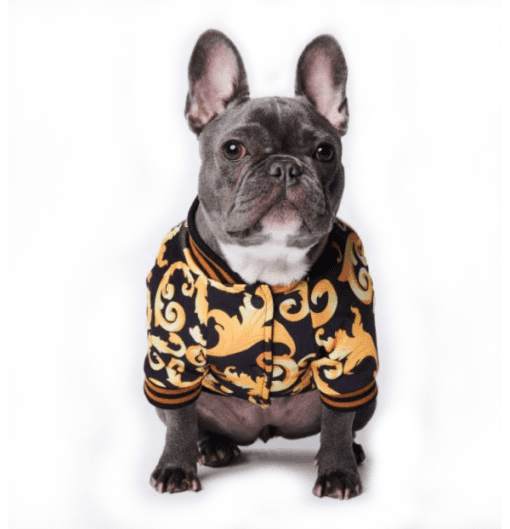 Purrsace Floral Monogram Black and Gold Dog Jacket - All Pet Things - S