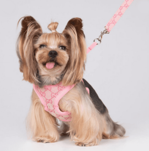 Pink Pucci Monogram Dog Harness with Free Matching Leash! - All Pet Things - S