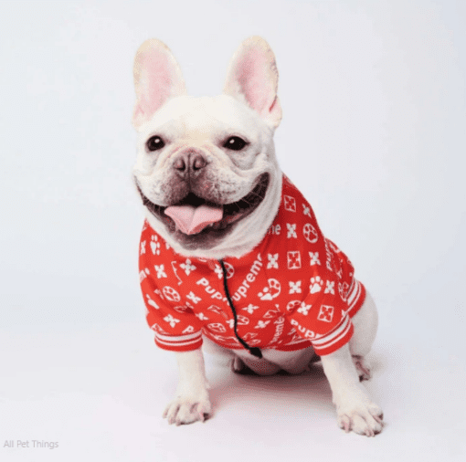 Pupreme Red and White Monogram Dog Jacket - All Pet Things - XL
