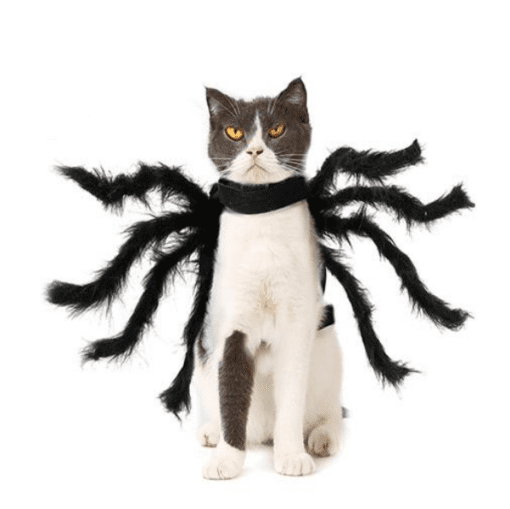 Spider Legs Pet Halloween Costume - Great for Smaller Dogs and Cats! - All Pet Things -