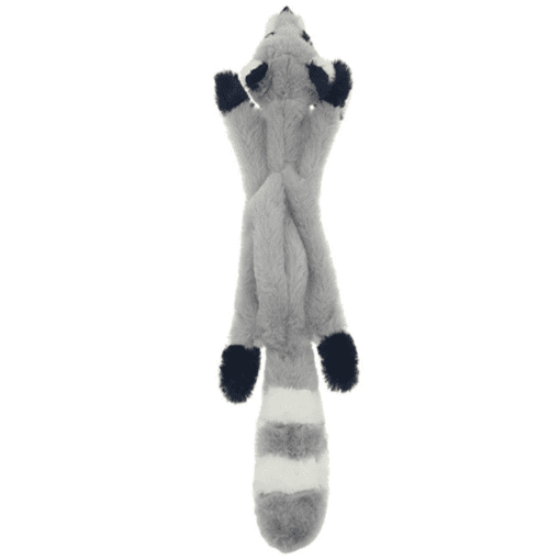 Squeaky Plush Dog Toys - Squirrel Fox and Raccoon! - All Pet Things - Racoon