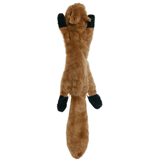 Squeaky Plush Dog Toys - Squirrel Fox and Raccoon! - All Pet Things - Squirrel