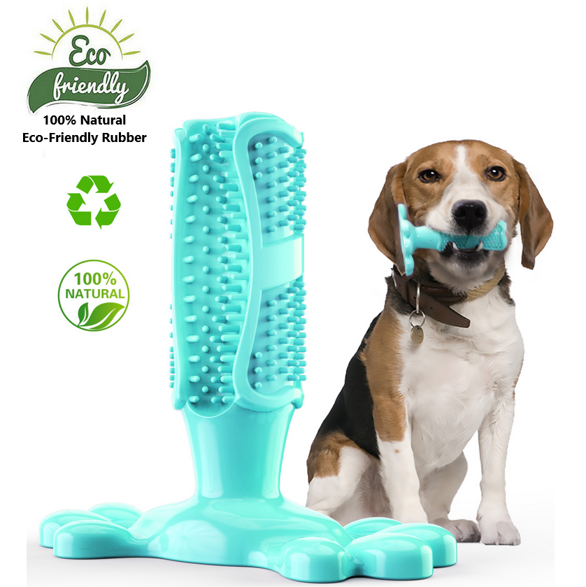 Dog Toothbrush Chew Toy - All Pet Things -