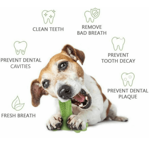 Dog Toothbrush Chew Toy - All Pet Things -