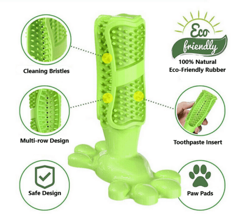 Dog Toothbrush Chew Toy - All Pet Things - Green